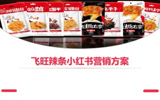 2022飞旺辣条小红书品牌营销方案