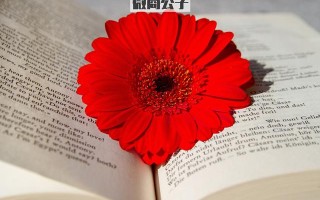 微商怎么引流？为什么我做的引流效果都不好？