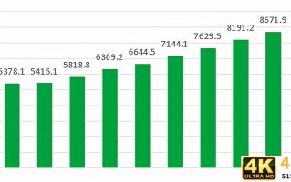 细节物流有多难？包装企业如何翻过“技术+资金+人才”三座大山