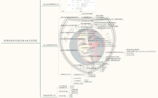 如何玩转TikTok营销？你想知道的一切都在这里