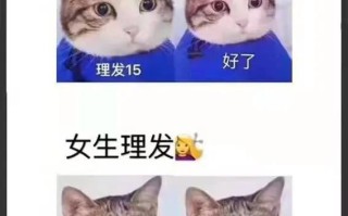 搞笑内涵段子！笑一笑，十年少