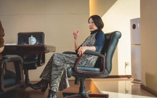 独家对话董明珠：股价，高瓴，奥克斯，新来的孟羽童，她逐一评价