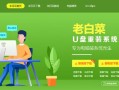 做系统怎么去读取u盘启动盘-(如何用u盘做系统启动盘)