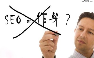探讨大型门户站的SEO网站排名策略