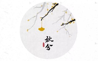 APP开发中的UI设计