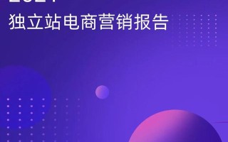 2021年独立站电商营销报告-GoodSpy(附下载)