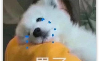 如何看待 2023 年秋招 C++ 后端开发岗一片红海？