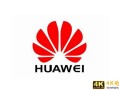 华为在芯片行业面临困难，却吸引了更多中国企业发展中国芯