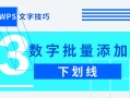 wps怎样添加下划线（wps怎样快速在文字下面添加下划线）