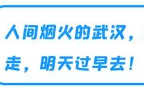 封面TMT云课堂 | 这有一份实用的视频号运营指南，请查收！（第26期）