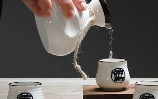 姚谈销售—白酒业务员你认为你很辛苦吗（一）