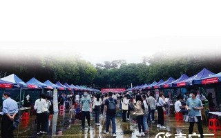 走出校门找工作“求稳”还是“闯一闯”？南宁高校毕业生求职路上述心声