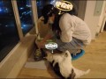 宠托师、婚庆化妆师……年轻人假期兼职图鉴里有你吗？