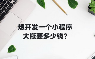 想开发一个小程序大概要多少钱