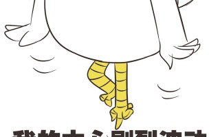 提高团队活力