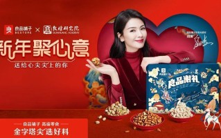 小红书年货热潮｜品牌场景营销新套路