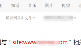 网站收录真的是越多越好吗?什么样的网站收录决定最终排名?