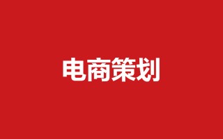 256-品牌电商营销策划方案51例