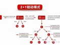 二级分销模式链动2+1背后火爆增长的原因