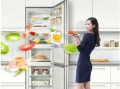 冰箱十大品牌排名（国内十大冰箱品牌排行榜您知道几个）