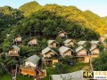 “李子柒”们带火的乡村民宿，国庆档已一房难求