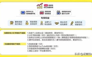 小红书视频号，怎么抢占赚钱的第一波红利？