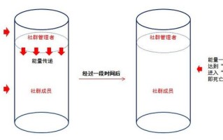 教你做社群运营