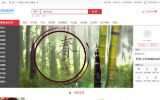 商城网站建设电商在线网站开发源码