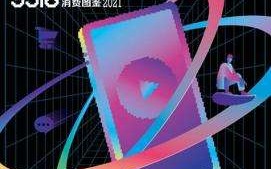 进击的新势力·95后短视频冲浪与消费图鉴