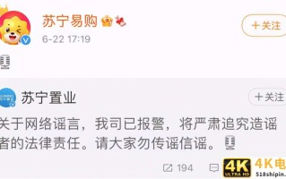 独家｜阿里已在各地进驻苏宁尽调，唯一的接盘侠