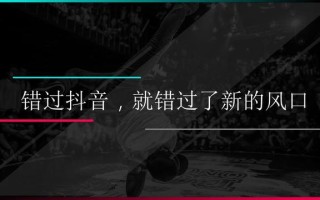 错过抖音 可能就错过了新的风口 （ 抖音营销干货 一共123页！）