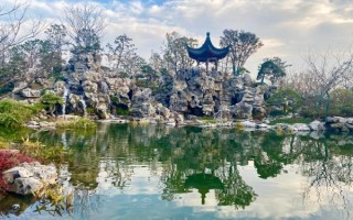 上海世博文化公园北区年底即将开放，这些打卡点或成“网红”，记者带你先睹