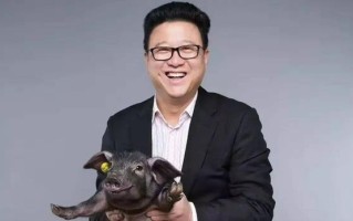丁磊的发家史：七年，他从白手起家干到中国首富，为什么？