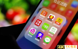社区团购，补贴与生存的真正逻辑