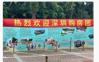东莞楼市新政发布一周，有楼盘推出 0.5 成首付，有售楼处 ... ...