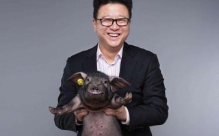 丁磊：道歉之后，好好管管你的网易吧