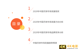 2020年中国月饼市场与消费者行为研究报告