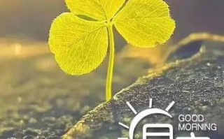 【浅谈销售】