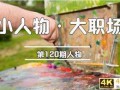 我，95后，放弃工资2150的老师工作，全职画画一年全款买上了车