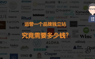 运营一个品牌独立站需要多少钱？