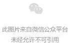 什么是打金传奇？怒火一刀光柱传奇散人好玩装备全靠爆