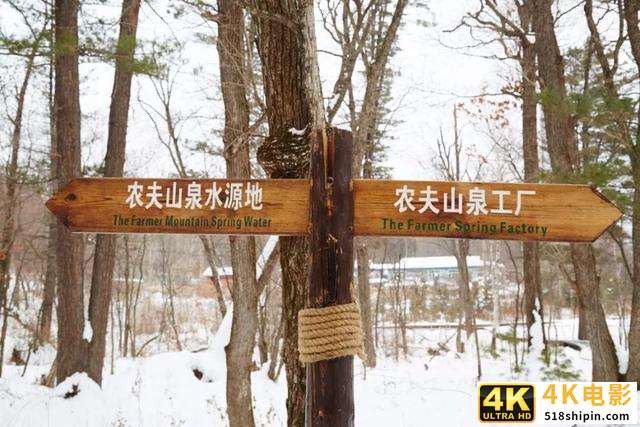 农夫山泉IPO引争议：产品与营销落差，孰是孰非？-第1张图片-90博客网