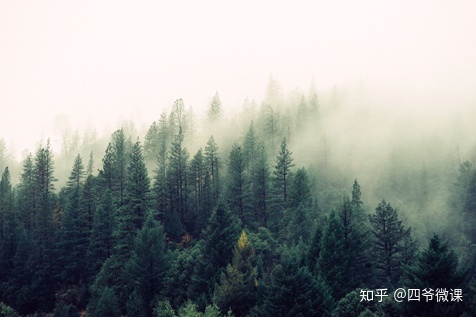 抖音如何运营？最详细的抖音运营模式分析-第2张图片-90博客网