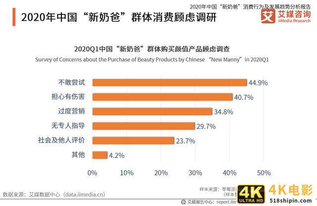 中国“新奶爸”消费行为及发展趋势分析报告-第14张图片-90博客网