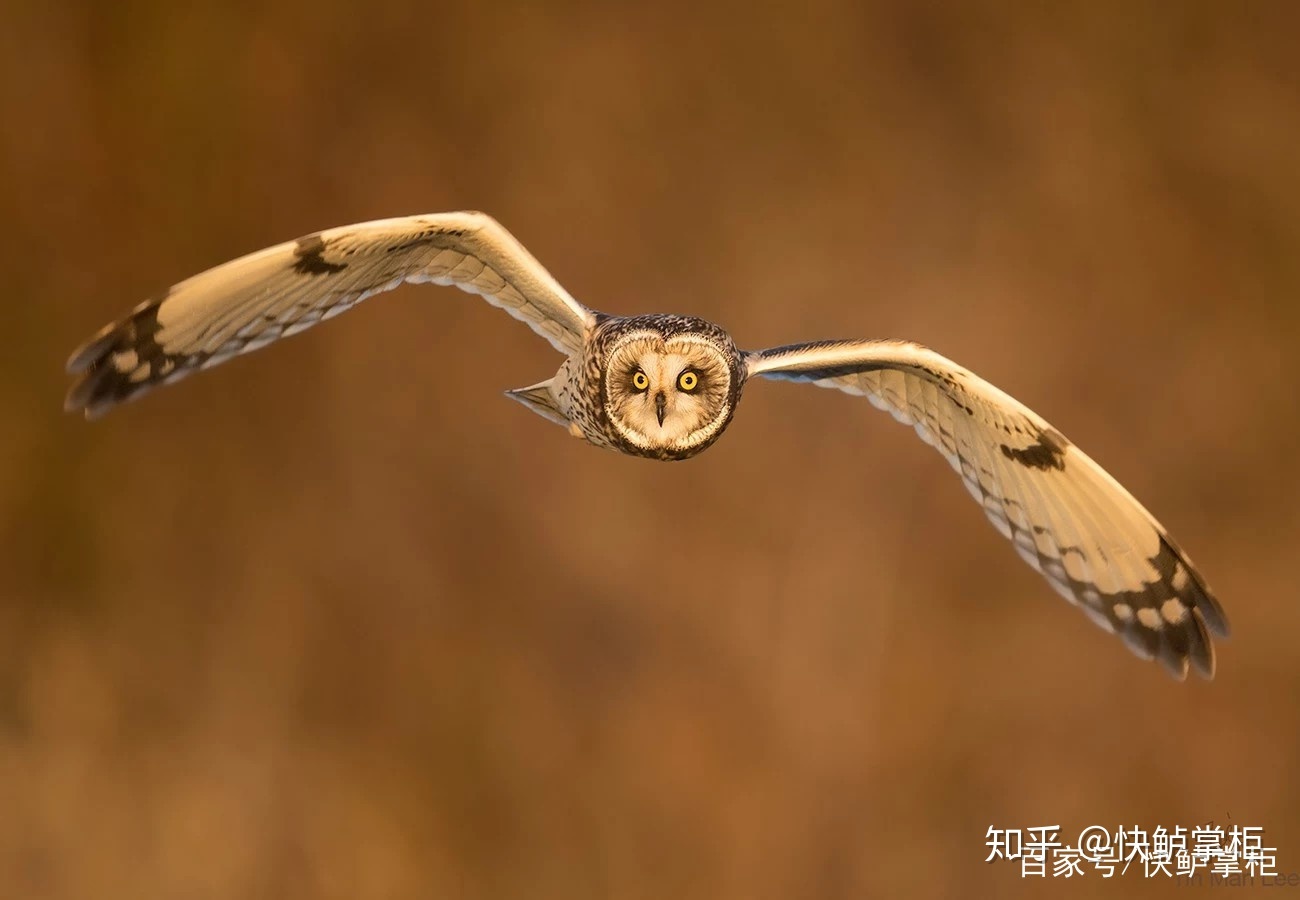 2019微信营销的5大趋势-第6张图片-90博客网 2019微信营销的5大趋势-第6张图片-90博客网
