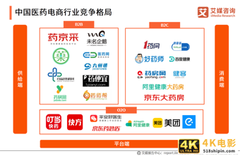 互联网医疗白皮书：疫情助推行业发展，移动医疗规模超500亿元-第12张图片-90博客网