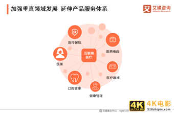 互联网医疗白皮书：疫情助推行业发展，移动医疗规模超500亿元-第30张图片-90博客网