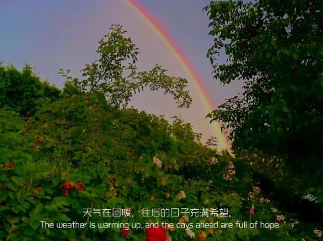 我的小红书粉丝终于四万啦！附小红书运营干货25条-第7张图片-90博客网