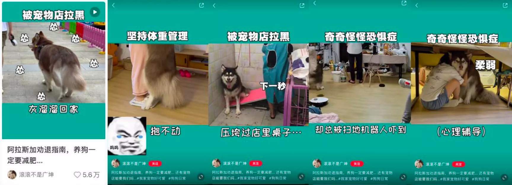 小红书营销：6000字讲透小红书爆文核心-第17张图片-90博客网
