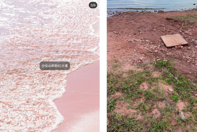 种草成埋雷,小红书活该被质疑吗?-第6张图片-90博客网 种草成埋雷,小红书活该被质疑吗?-第6张图片-90博客网